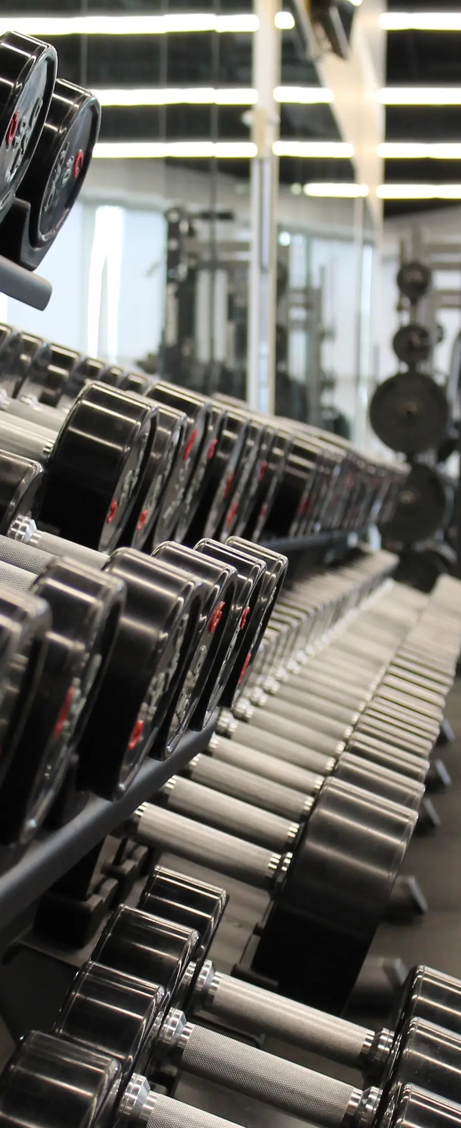 FitLife Academy